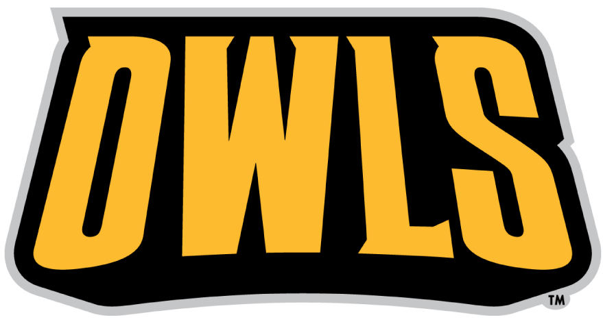 Kennesaw State Owls 2012-Pres Wordmark Logo DIY iron on transfer (heat transfer)